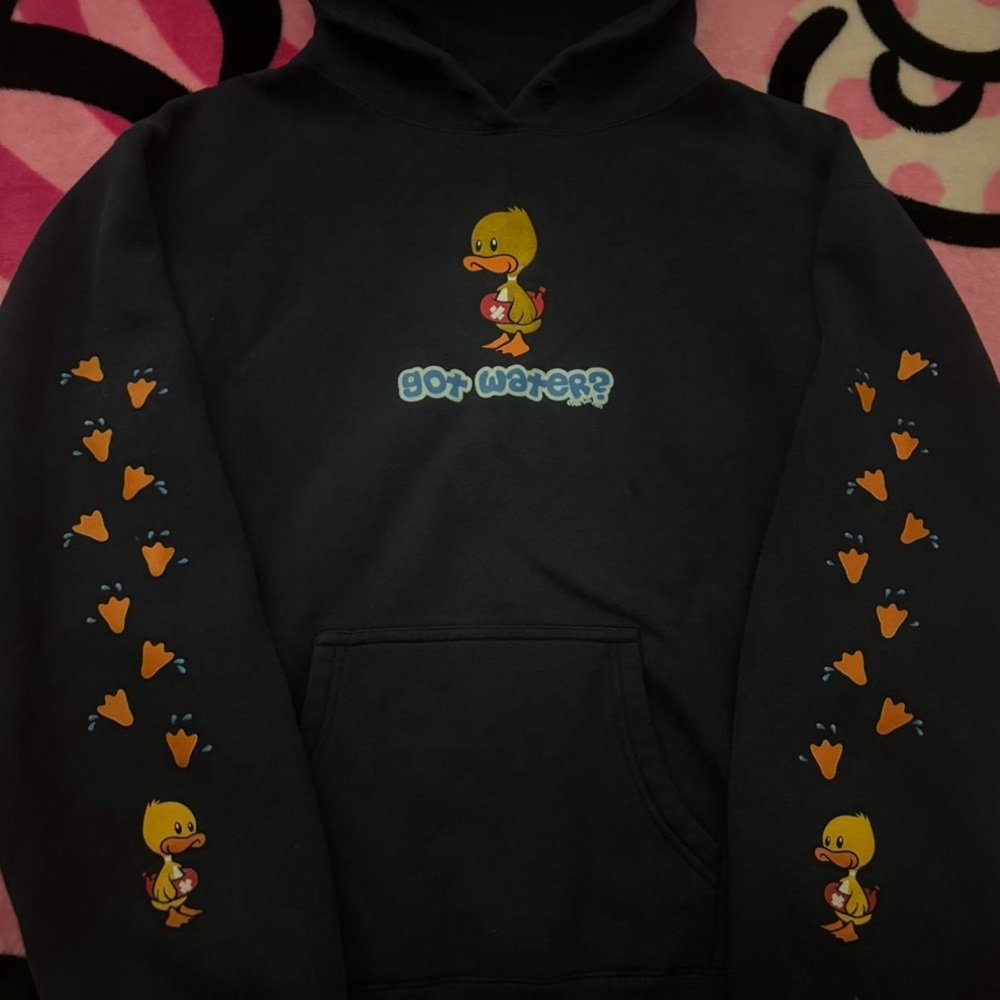 2003 pacsun duck hoodie